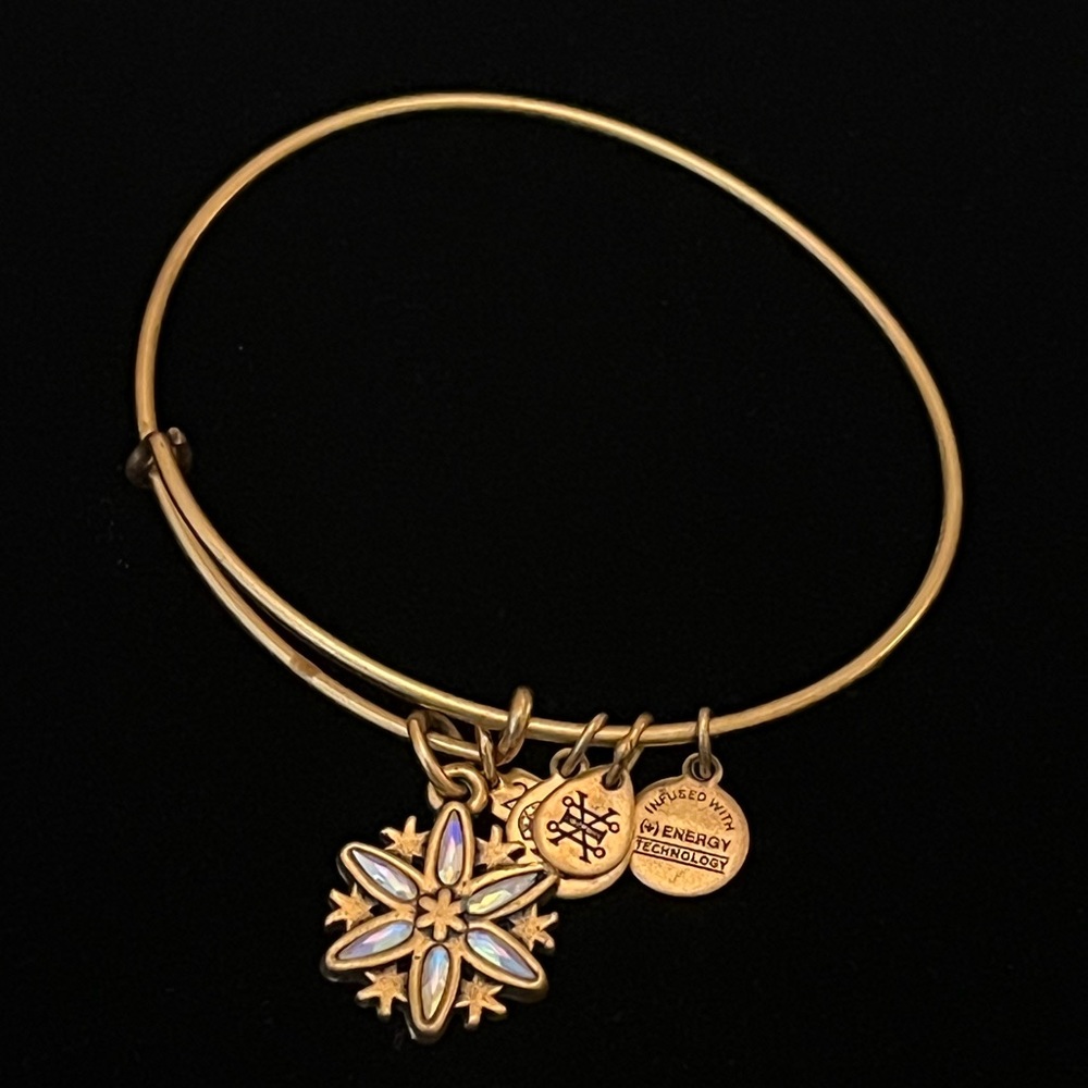 Alex and Ani 2017 Snowflake Bracelet